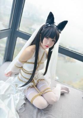吞噬星空在线免费看_超清免费观看超清